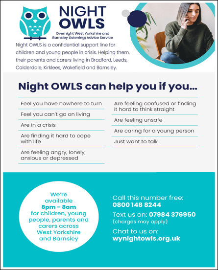 Night OWLS Poster